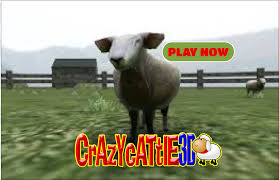 Explosive sheep collisions